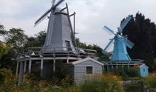 子时出生的人2020鼠年运势运程好吗，财运如何