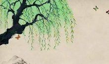 女人大脚趾长痣代表什么，属大富的相，一生能有好运