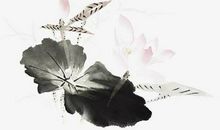 金牛座四种血型性格解读，O型金牛座属于慢性子的人