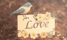 11月9日之后，姻缘如愿以偿，为爱付出很多的星座，极易恩爱百年