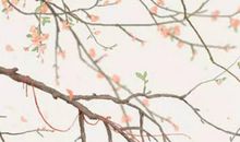 2020年12月24号出生的男孩起什么名字高分，五行属什么