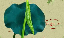 生肖属虎人2020年要注意什么，要掌握好主动的度