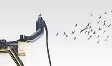 2020年2月26号二月初四出生的女孩是什么命，起什么名字吉祥