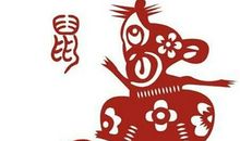 2020年春节出生的金鼠宝宝取名宜用部首偏旁是什么？(图文)