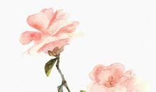 2020年农历三月二十七出生的男孩命运解析，如何起名字有寓意