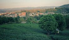 闰月出生的人怎么过生日