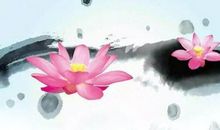 11月财来运转，添财添福，事业一鸣惊人的四大生肖