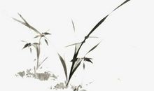 2020年2月23号二月初一出生的女孩是什么命，如何起名字吉祥