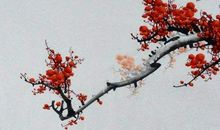 2020年9月15号出生的女孩如何起名字，用什么字寓意好