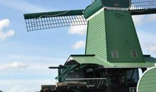 卯时出生的人2020鼠年运势运程好吗，财运如何