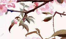 男宝宝起名：2020年12月27号出生的男孩怎么起名字，五行属什么