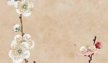 2020年6月1号儿童节闰四月初十生的男孩命运好吗，取什么名字好