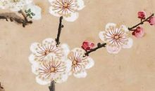 2020年6月2号闰四月十一生的男孩命运如何，取什么名字有福气