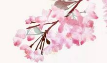 2020年12月26号出生的男孩起什么名字寓意好，宜用什么字