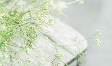 即将被好运砸中的生肖~也许就有你