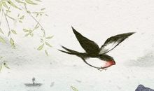 燕子来家里有什么预兆 风水怎么样