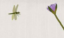 生肖属马人2020年要注意什么，经商者要有辛苦得财的准备