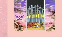 2月2日~8日星座塔罗周运下篇：摩羯水瓶双鱼把握良机谋发展的一周