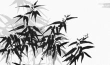 生肖属龙人农历2019年十二月搬家好吗，适合入宅乔迁的黄道吉日