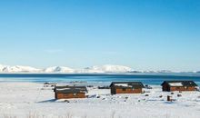 2020年鼠宝宝什么命，前途无量，人生中后期命运好于前期