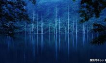 不温柔，也不撒娇的星座女，但心眼儿好，为别人着想