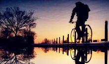 12星座遇到恐怖订单的反应和处理方式