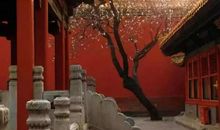 房子越大越好？关于居家风水的三个误区