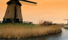 辰时出生的人2020鼠年运势运程好吗，财运如何