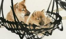 4月大开财路，5月赚财满盆，2020年咸鱼翻身的四个生肖