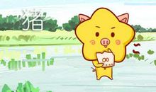 猪年里生肖猪需要注意的风水问题