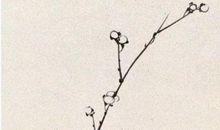 2020年农历九月二十二出生的女孩如何取名字，五行八字好吗