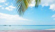 财神爷点大名：16号开始，想啥就来啥，天天开口笑，3生肖一夜之间变“富翁”