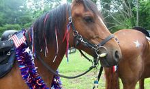 2002年属马人2021年运势男 02年出生20岁生肖马男今年运气如何