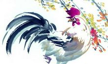 2005年属鸡的人2019年运势大全及破解(图文)