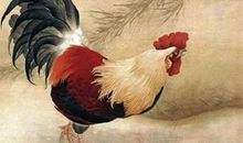 未时出生的生肖鸡的命运如何？(图文)