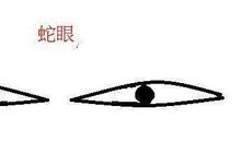 女人蛇眼的面相如何,蛇眼女人会克夫吗(图文)