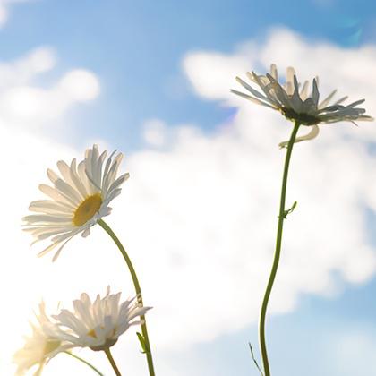 4月霉运散好运来的星座，你上榜了吗 3