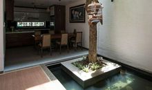 家居风水：你家鱼缸只养鱼？摆对风水还养人！