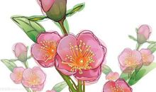 这些影响桃花运的风水要注意了