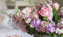 分析12星座情绪的持续时间