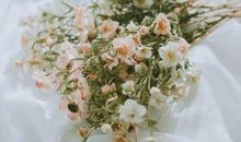 不专业出轨却爱出轨的星座，是loser没错了！