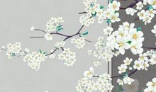 宝宝取名：2020年12月5号出生的女孩如何取名字有气质