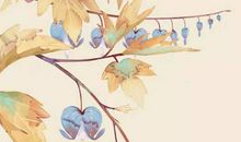 女孩取名：2020年12月4号出生的女孩起什么名字文雅