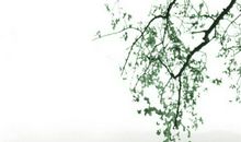 午时出生五行缺火的男孩取名，这些字属火都适合男孩取名