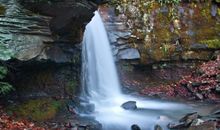 2月份财库丰盈，时来运转的4大生肖，事业扬眉吐气
