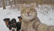 在朋友圈很难见到这些星座的自拍照！