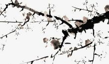 午时出生五行缺金的男孩取名，这些字属金都适合男孩取名