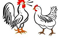 父母与孩子的最佳属相组合