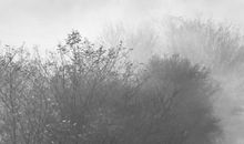 2020年12月24号平安夜出生男孩起什么名字好