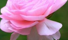 10月底横财遍地喜相随，走向多金道路的生肖，福运不断，生活美满